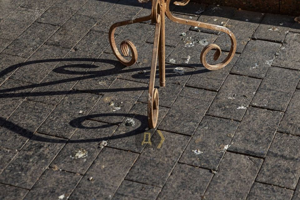 В Одессе на Дерибасовской провели рейд по владельцам развлекающих животных В Одессе на Дерибасовской провели рейд по владельцам развлекающих животных