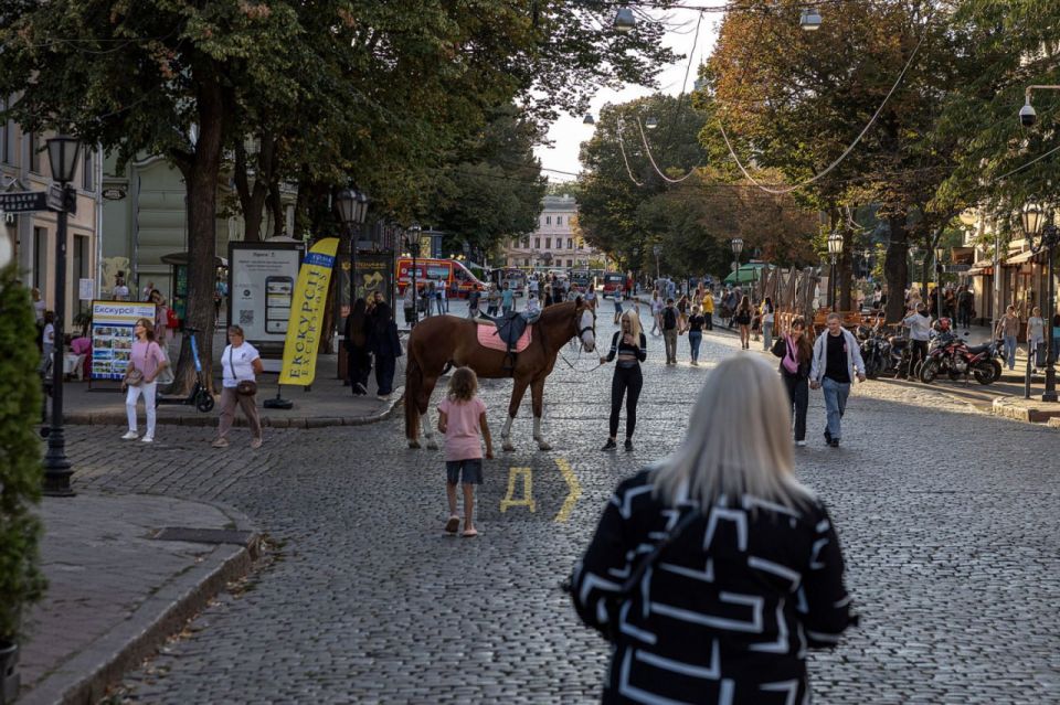 В Одессе на Дерибасовской провели рейд по владельцам развлекающих животных В Одессе на Дерибасовской провели рейд по владельцам развлекающих животных