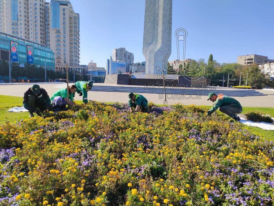 Одесса надевает осенний наряд! Город постепенно окрашивается в рыжие и золотые тона Одесса надевает осенний наряд! Город постепенно окрашивается в рыжие и золотые тона