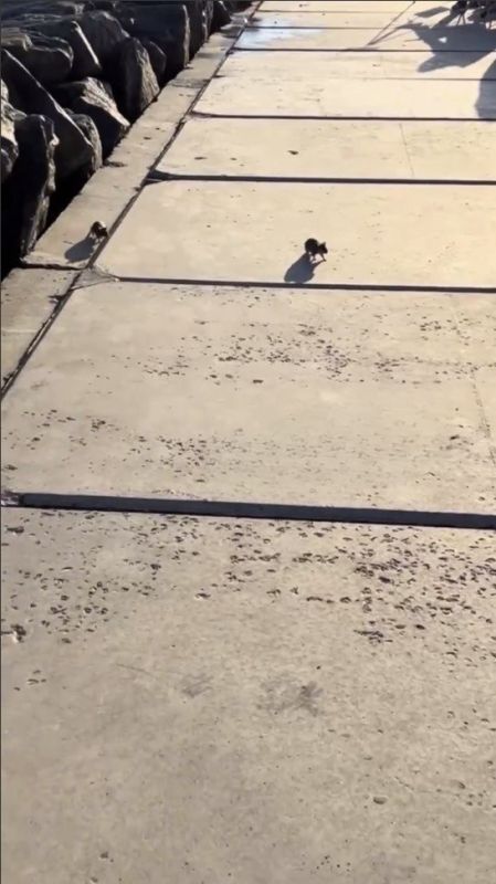 ����� �����. ������� �� � ������ ��������� ����