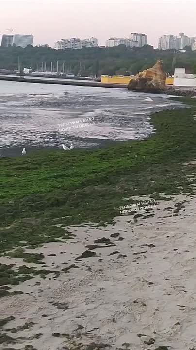 Пляжный сезон в Одессе заканчивается?