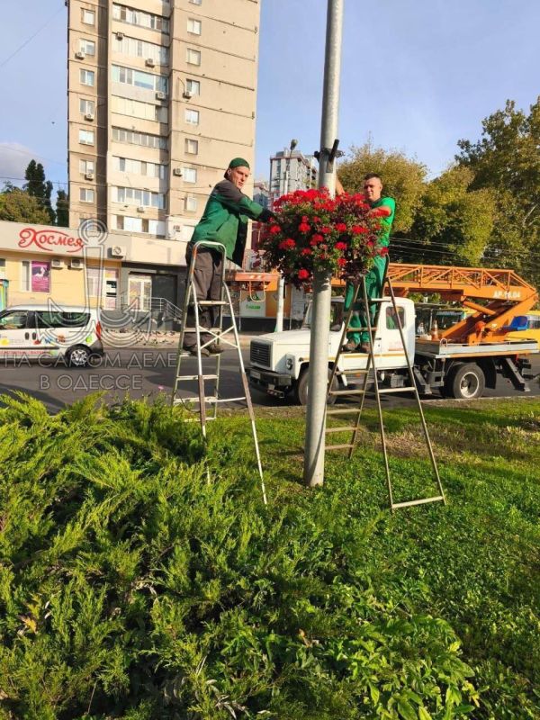 Одесса надевает осенний наряд! Город постепенно окрашивается в рыжие и золотые тона Одесса надевает осенний наряд! Город постепенно окрашивается в рыжие и золотые тона