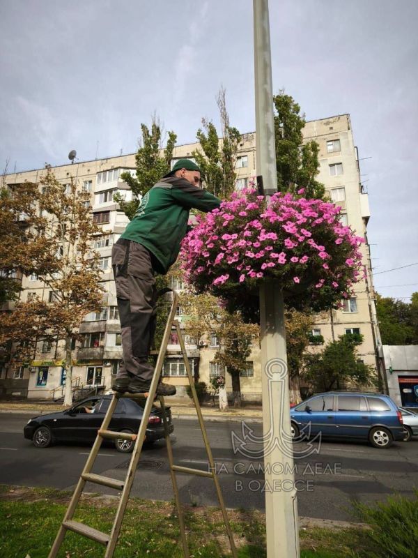 Одесса надевает осенний наряд! Город постепенно окрашивается в рыжие и золотые тона Одесса надевает осенний наряд! Город постепенно окрашивается в рыжие и золотые тона