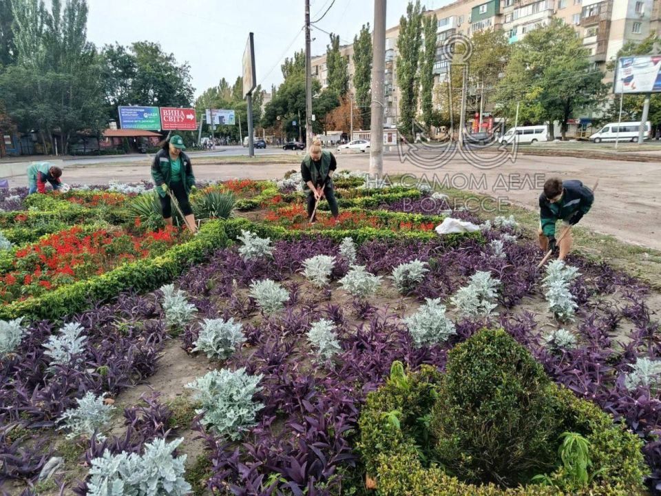 Одесса надевает осенний наряд! Город постепенно окрашивается в рыжие и золотые тона Одесса надевает осенний наряд! Город постепенно окрашивается в рыжие и золотые тона