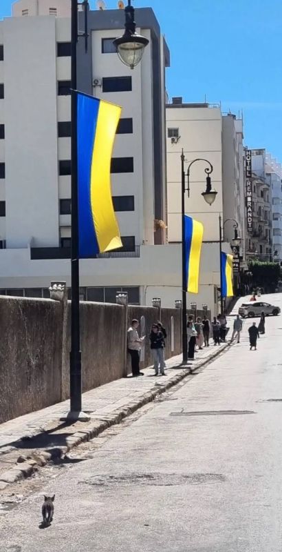 Джордж Клуни решил снимать в Африке сериал про Одессу Джордж Клуни решил снимать в Африке сериал про Одессу