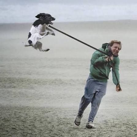 Самое время предупредить вас о завтрашнем шторме