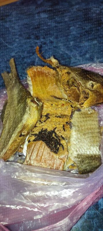 На Оптовом рынке в Одессе покупателям продали рыбу с червями На Оптовом рынке в Одессе покупателям продали рыбу с червями