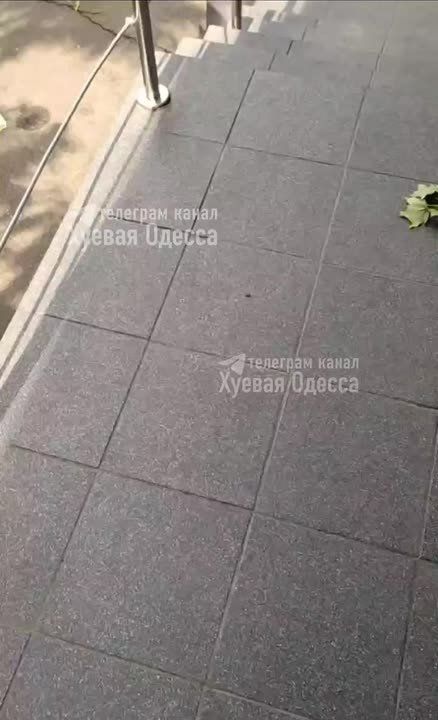 В Одессе дерево упало на человека