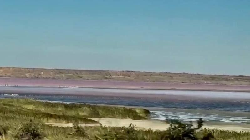 ������� �������� �������