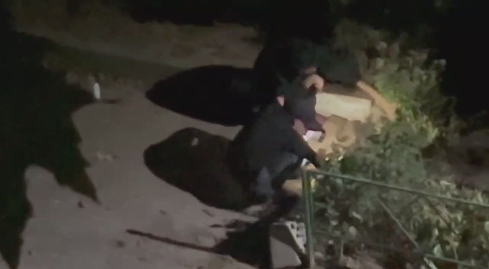 В Одесской области активизировались ночные садоводы