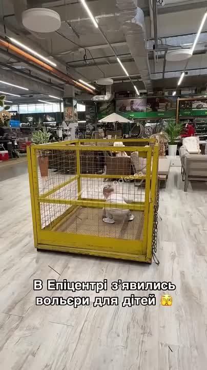 Справжнього украинца надо с детства приучать к клетке! Тому що не рабы