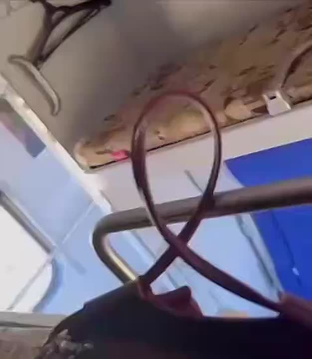 В поезде Одесса-Львов вспыхнул конфликт из-за русского языка