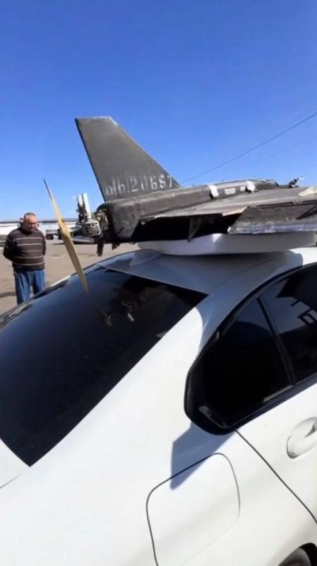 Одесские авантюристы везут "Герберу" Одесские авантюристы везут "Герберу"