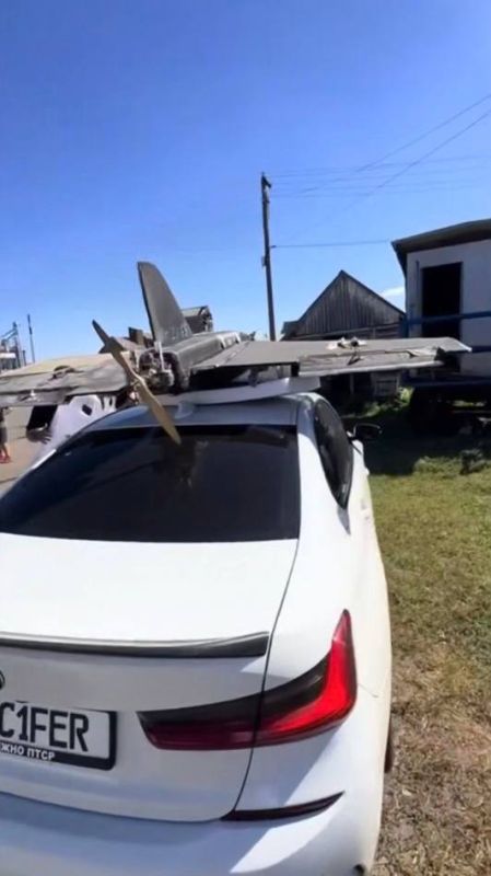 Одесские авантюристы везут "Герберу"