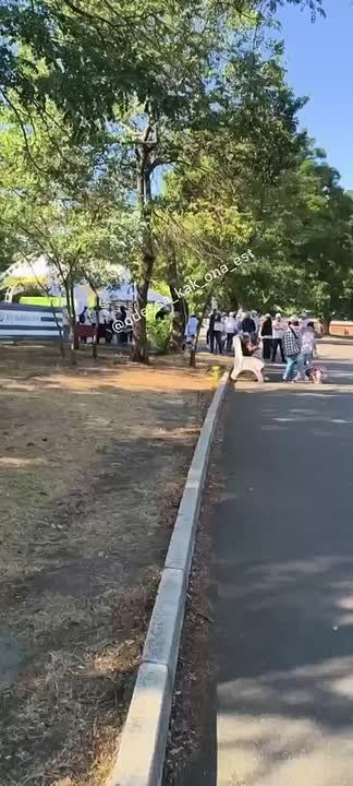 В Одессе волонтёры вышли убирать парк Шевченко