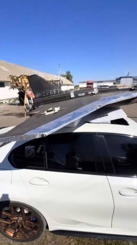 Одесские авантюристы везут "Герберу" Одесские авантюристы везут "Герберу"