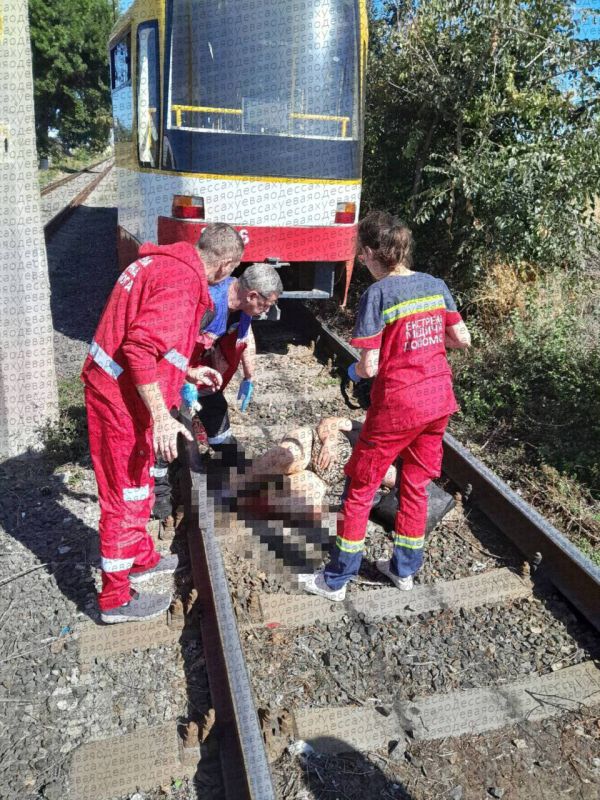 � ������ ������� �������� ������� ����� � ����������� �������