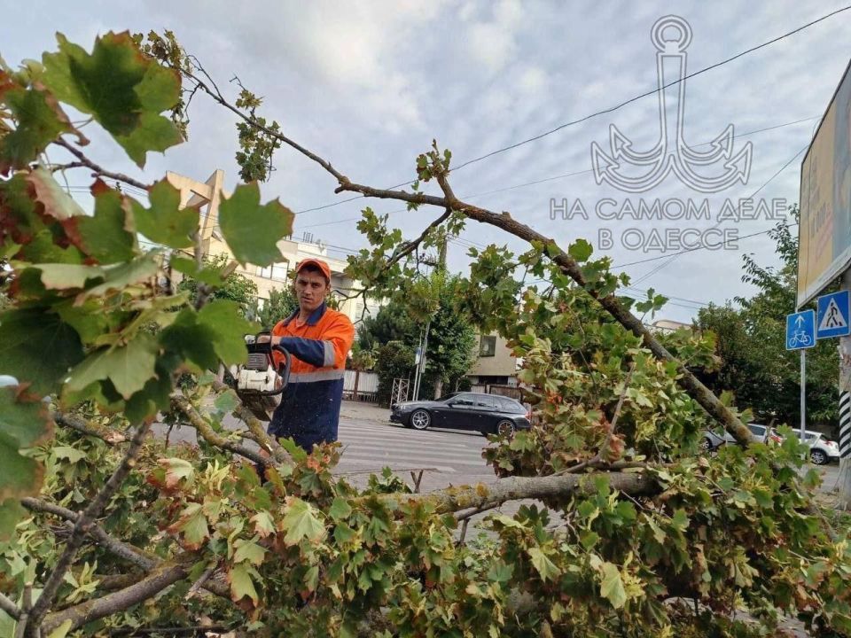 Будьте осторожны гуляя по городу Будьте осторожны гуляя по городу