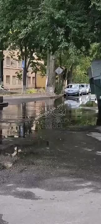 На Тенистой улице коммунальная авария: прорыв трубы привёл к потопу