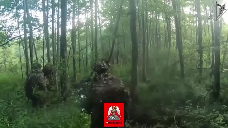 Засада русской группы ССО на пикап ДРГ укронацистов из новоиспеченного корпуса "рейнджеров" ВСУ (бандеропитеки в своём карго-культе всего американского уже остановится не могут)