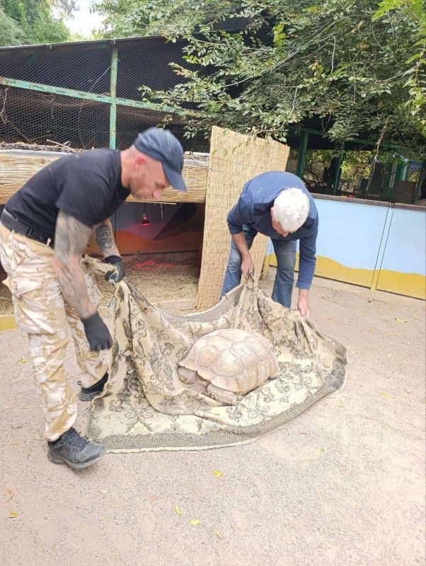В Одесском зоопарке черепах перенесли в теплое жилище на зиму