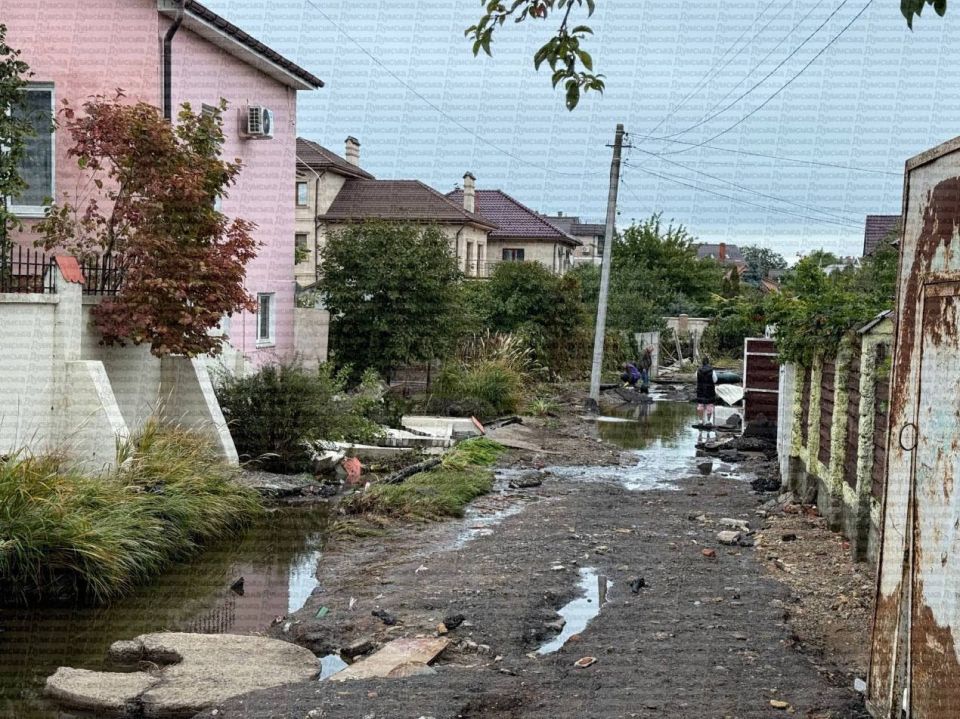 Так выглядит сейчас улица Эйзенштейна, на которой погибла семья с ребенком Так выглядит сейчас улица Эйзенштейна, на которой погибла семья с ребенком