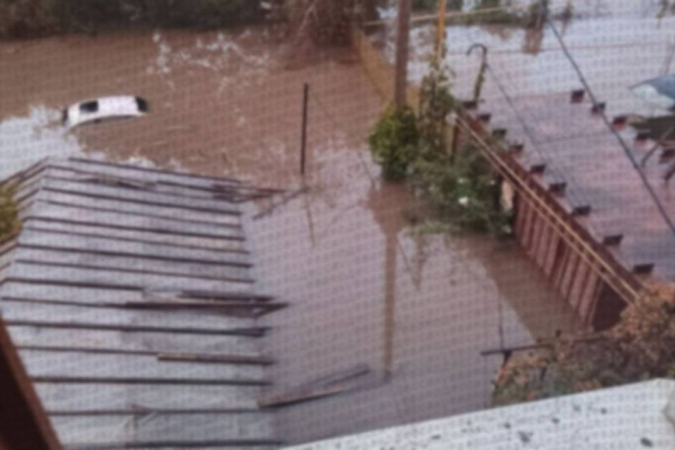 � ���� ������� �� ����� ����� ��� ���� ����� ����� �� ����� ������� ��������� ������������� � ����� ���� ��-�� ���� ������