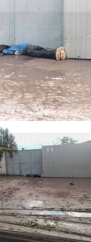 В Одессе сошла вода и на тротуарах начали вплывать рыбки, черепашки и новые трупы В Одессе сошла вода и на тротуарах начали вплывать рыбки, черепашки и новые трупы