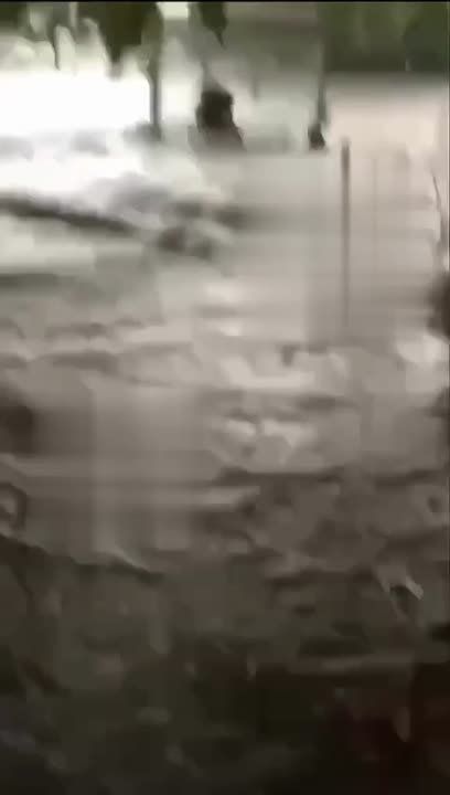 Последние секунды жизни утонувшей в Одессе чиновницы попали на видео