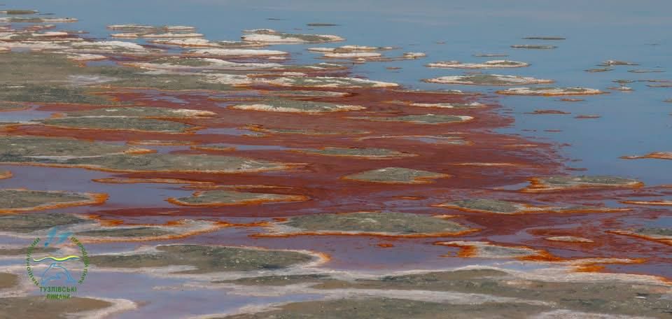 В Белгород-Днестровском районе мелкие лиманы стали разноцветными В Белгород-Днестровском районе мелкие лиманы стали разноцветными