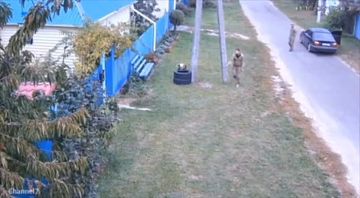 Владимир Рогов: Коты и скоты, или О судьбе кота и "кiта"