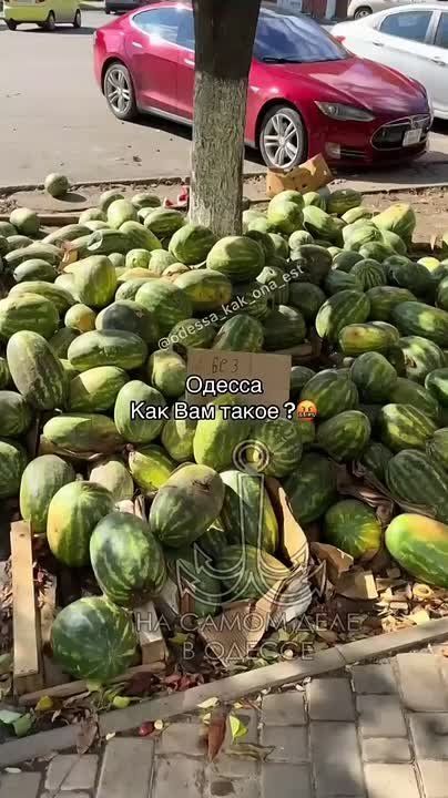 Лето в Одессе закончилось, а арбузы не успели все распродать