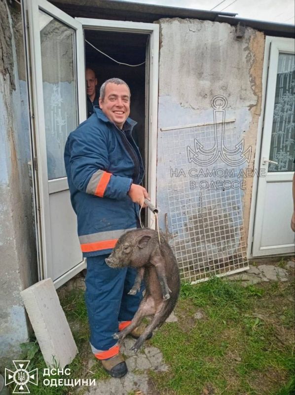 �������� ������ ����, ��� �� ����� ������ ������� � ������