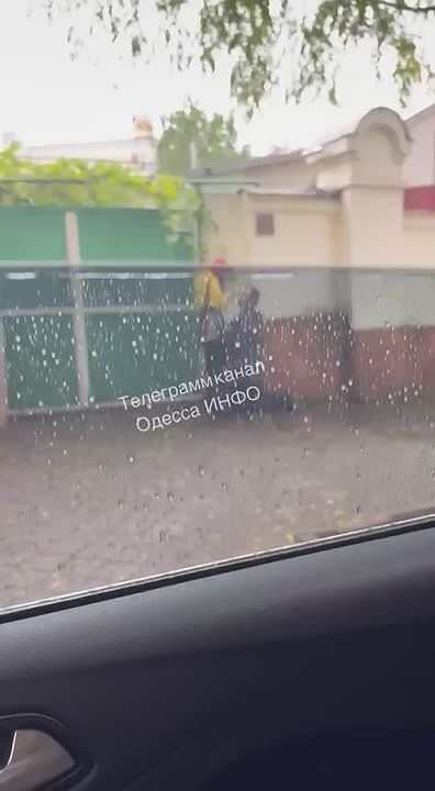 Парень в Одессе на коленях вымаливает прощения у девушки