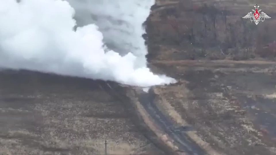 Алексей Васильев: Есть древняя мудрая притча про царя Соломона, который рассудил двух женщин споривших из-за ребенка, и выявил ту, которая его похитила, предложив разрубить младенца пополам