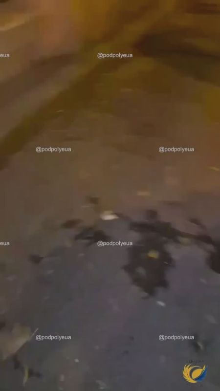 «Украина против» уничтожила автомобиль ВСУ