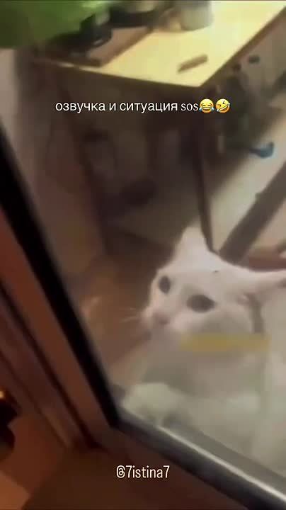 Спокойной ночи, Одесса!. Вот и пролетел этот вторник, наполненный горячими новостями