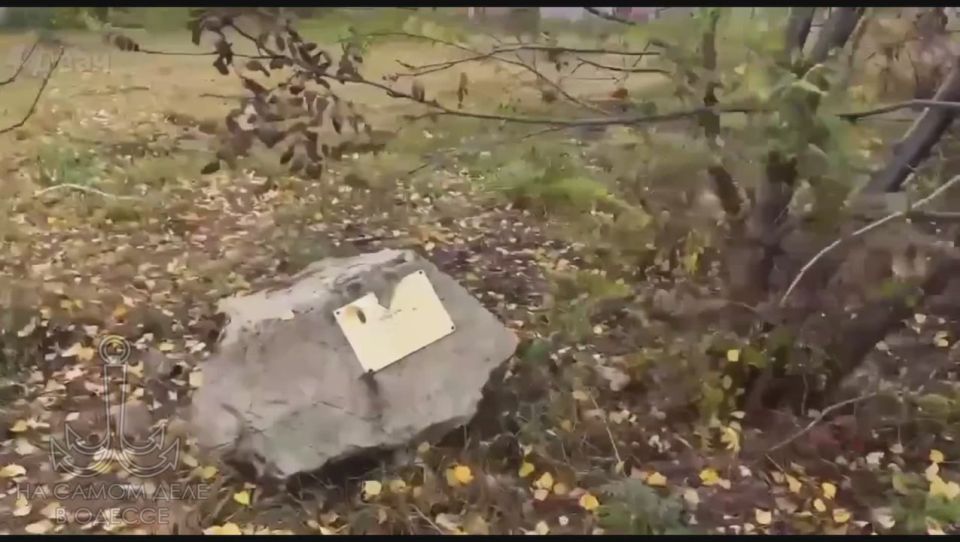 На контрасте. Когда в Незалёжной прихотью просроченного наркомана, считающего себя президентом так называемой Украины, неугодные чиновники лишаются гражданства и автоматически теряют посты, в Российской Федерации причины для...