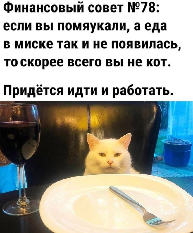 Спокойной ночи, любимая Одесса