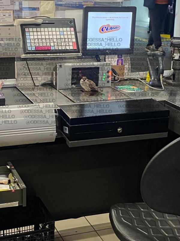 В продуктовом магазине Одессы продают воробьев на развес