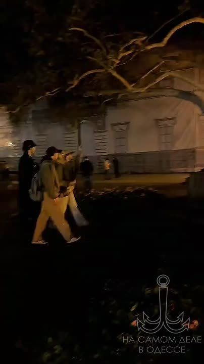 Гиены почувствовали свободу и вылезли из самых тёмных мест