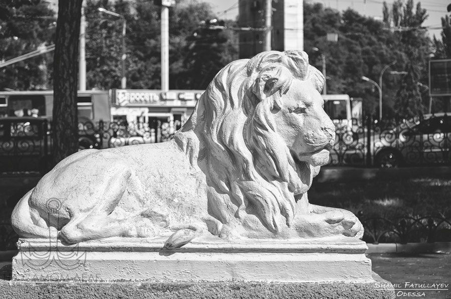 Немного магии чёрно-белой Одессы Говорят,что монохромные снимки раскрывают самую суть, настоящую душу Немного магии чёрно-белой Одессы Говорят,что монохромные снимки раскрывают самую суть, настоящую душу