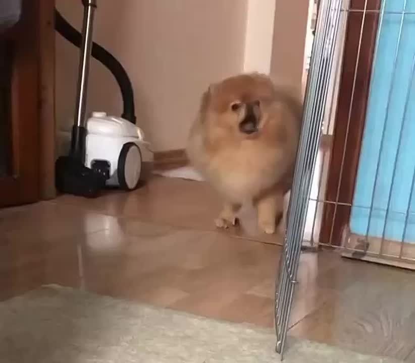 Тсс уже поздно, и пора ложиться спать