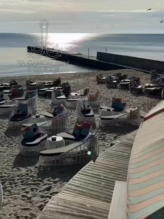 Таки да, Одесса-мама проснулась