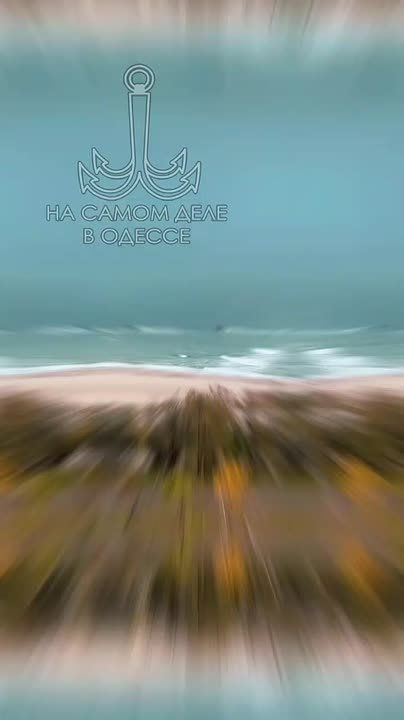 Одесса-мама мирных снов. — Золушка, я слышала, что твоя мачеха и сестры уехали на бал!