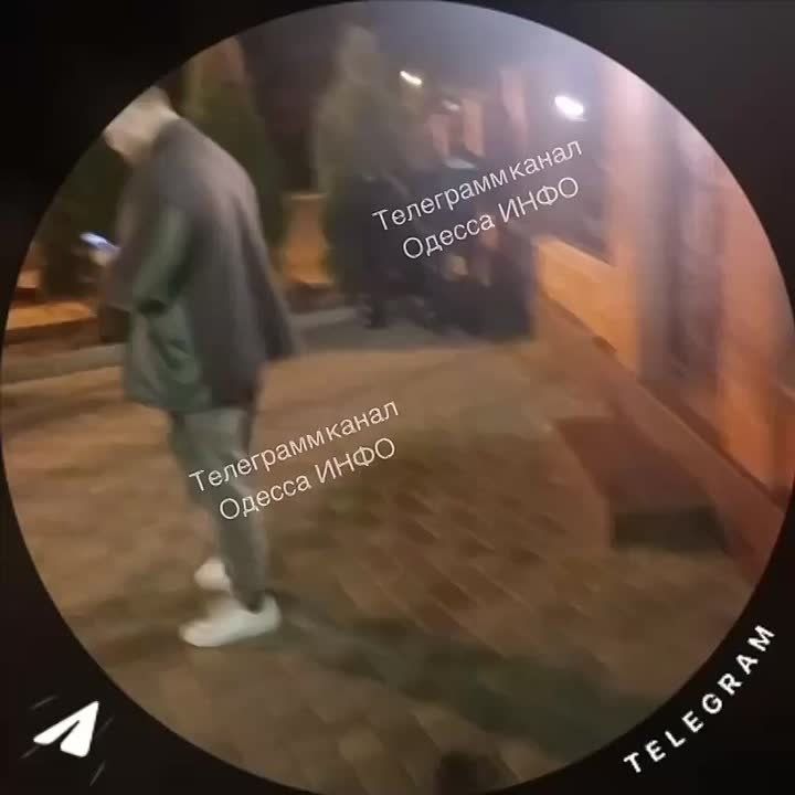 В Одессе наркоманка с трупом кота пыталась украсть коньяк