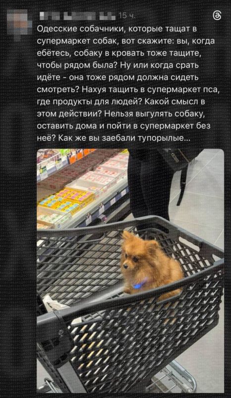 В Одессе недовольны, что собачники ходят в супермаркеты с питомцами