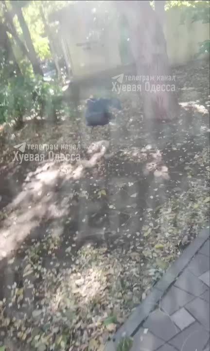 Наркомана-спидозника жёстко приглючило в Одессе