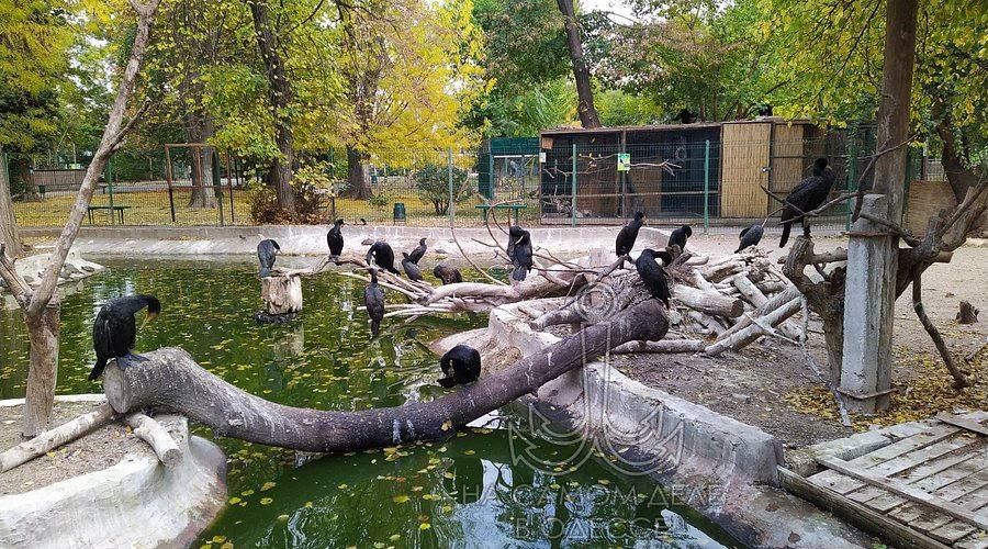 Чтобы хвостикам и лапкам не было холодно! В Одесском зоопарке начинается капитальный ремонт отопления
