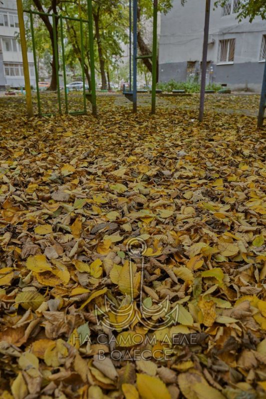 Осенью в Одессе это мягкий солнечный свет, который окрашивает город в пастельные тона, создавая неповторимое ощущение тепла, поэзии и легкой грусти Осенью в Одессе это мягкий солнечный свет, который окрашивает город в пастельные тона, создавая неповторимое ощущение тепла, поэзии и легкой грусти